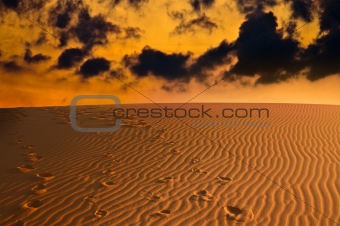 evening over Sahara desert 