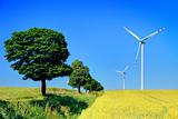 wind turbines and trees