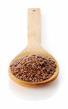 flax-seed in wooden spoon