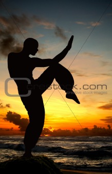 Martial Art figure on beach