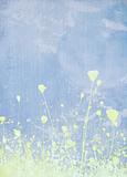 Meadow flower pale blue background