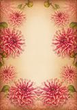 chrysanthemum flower frame or border