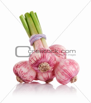 fresh garlic fruits isolated on white