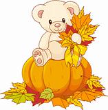 Teddy Bear sitting on pumpkin