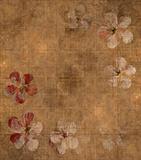 Grungy petal parchment background 
