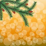 Floral background with a fir twig
