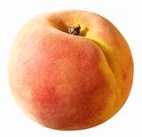 sunny ripe peach
