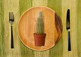 cactus on the plate