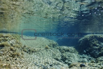 Tropical underwater scene.