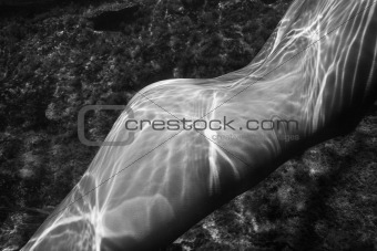 Nude woman underwater.