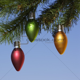 Ornaments on tree.