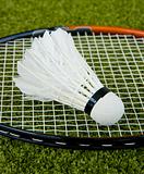 Badminton racquet and a shuttlecock on the grass