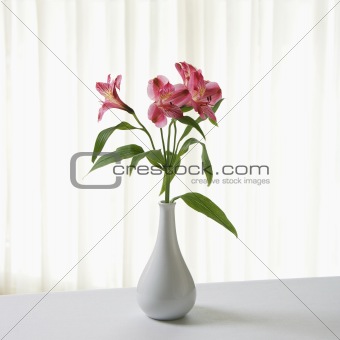 Flowers in vase.