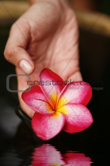 Hand and Flower