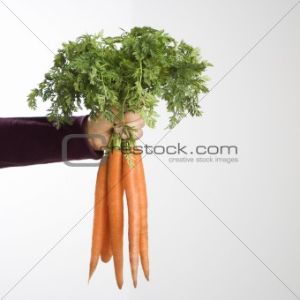 Bunch of carrots.