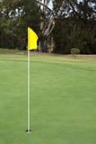 golf hole with yellow flag