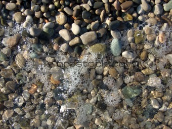 wet pebbles on the beach of the Black Sea1