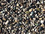 wet pebbles on the beach of the Black Sea2