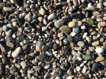 wet pebbles on the beach of the Black Sea2