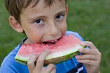 Boy eats watermelon
