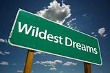 Wildest Dreams Road Sign