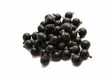 Black Currant Berry