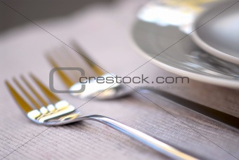 Plates and cutlery