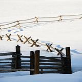Winter fence.