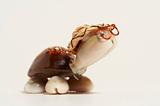 toy shell turtle on white background