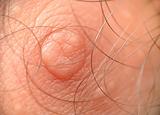 Macro shot of male human nipple with hair