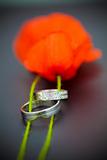 Wedding rings and tullips