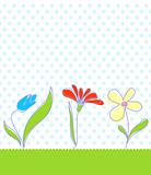 Baby seamless floral background