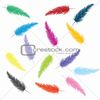 Background with colored feathers