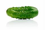 single cucumber fruit isolated on white