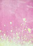 Meadow flower pink background