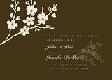 Vector Floral Background and Ornaments