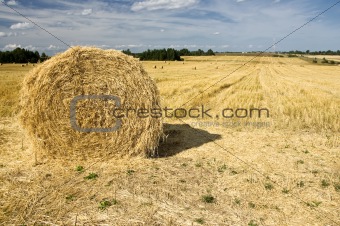 haystack on the meadow in sunny day