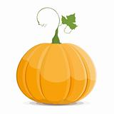 Pumpkin isolated on white background. EPS8