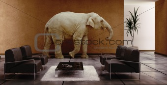 interior with elephant