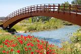 red poppies flowers meadow river wooden bridge