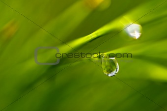a water drop