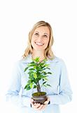 Portrait of a delighted businesswoman holding a plant