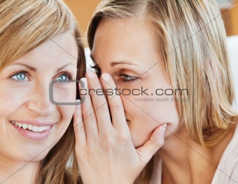 Portrait of two female friends telling secrets 