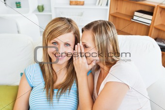 Portrait of two caucasian female friends telling secrets at home