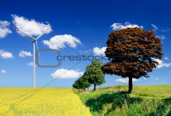 landscape with field and wind turbine