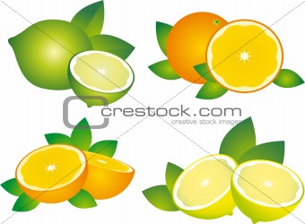 Fruits vector