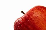 red wet apple closeup