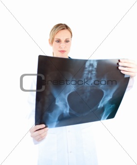 Concentrated female doctor looking at a x-ray