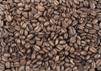 high quality fresh roasted coffee beans close