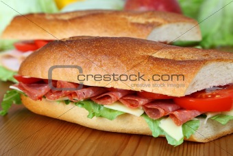 Closeup of a fresh sandwich with salami, swiss and tomatoes